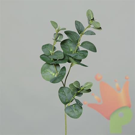 EUCALYPTUS BRANCH 3,64CM