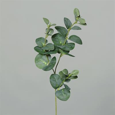 EUCALYPTUS BRANCH 3,64CM