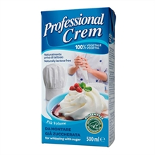 PREPARATO VEGETALE PROFESSIONAL CREAM SLIM 500ML