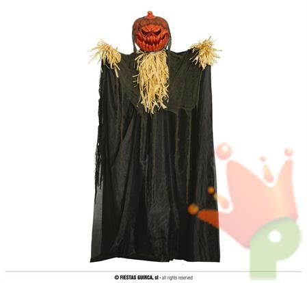ZUCCA 170CM