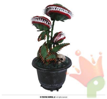PIANTA CARNIVORA 36CM