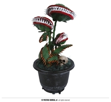 PIANTA CARNIVORA 36CM