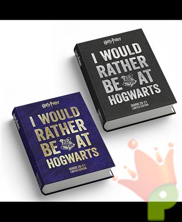 DIARIO 16 MESI LIMITED EDITION 13X17CM HARRY POTTER