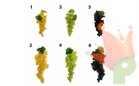 GRAPPOLO UVA PICCOLA VINACCIA 6PZ N°5