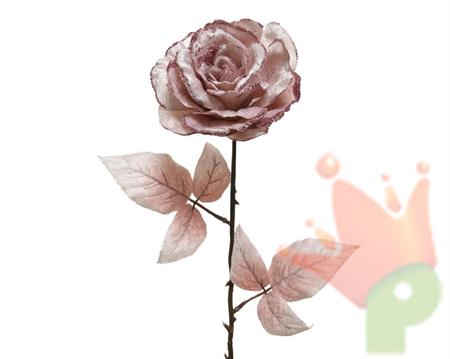 ROSA 10X22X60CM CIPRIA