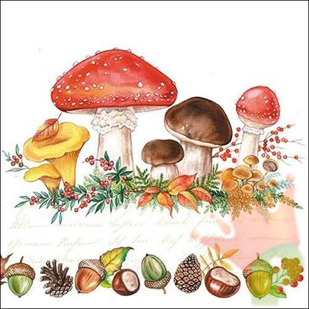 TOVAGLIOLI 33X33 MUSHROOMS 20PZ