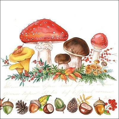 TOVAGLIOLI 33X33 MUSHROOMS 20PZ