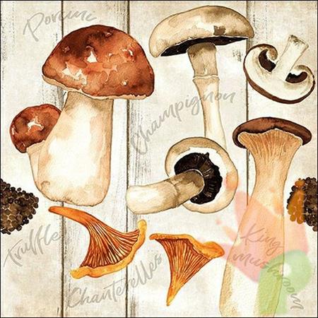 TOVAGLIOLI 33X33 CHAMPIGNON 20PZ