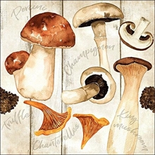 TOVAGLIOLI 33X33 CHAMPIGNON 20PZ