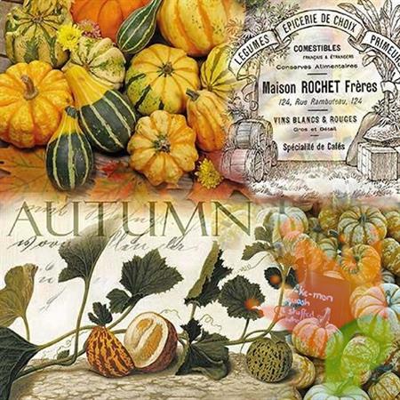 TOVAGLIOLI 33X33 AUTUMN PUMPKINS 20PZ