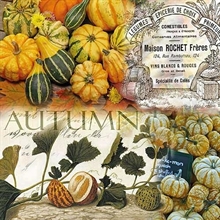 TOVAGLIOLI 33X33 AUTUMN PUMPKINS 20PZ
