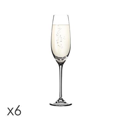 FLUTE CHAMPAGNE 210ML SOMMELIER 6PZ