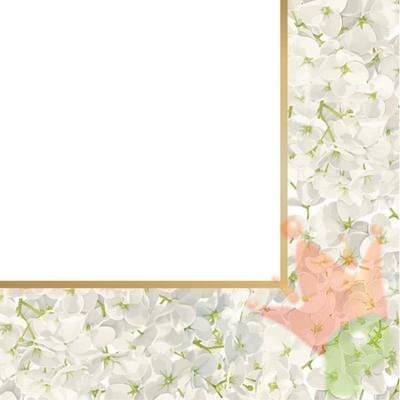 TOVAGLIOLI 33X33 ORTENSIA 20PZ