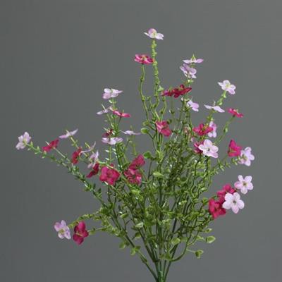 FIORE NON TI SCORDAR DI ME 35CM FUCSIA