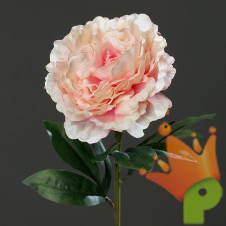 PEONIA SPRAY 63CM ROSA