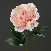 PEONIA SPRAY 63CM ROSA