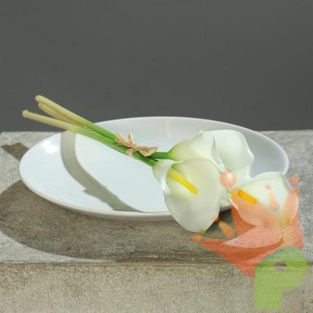 CALLA 30CM CREMA