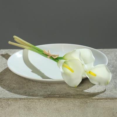 CALLA 30CM CREMA