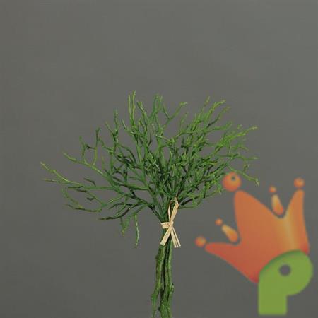 MIRTILLO 24CM