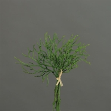 MIRTILLO 24CM