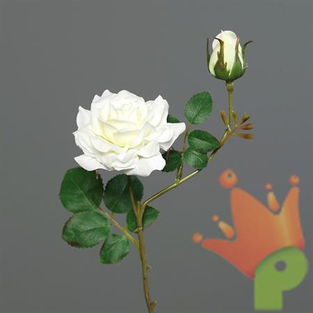 ROSA CON BOCCIOLO CREMA 27CM