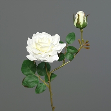 ROSA CON BOCCIOLO CREMA 27CM