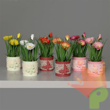 PAPAVERO IN VASO 21CM