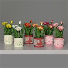 PAPAVERO IN VASO 21CM