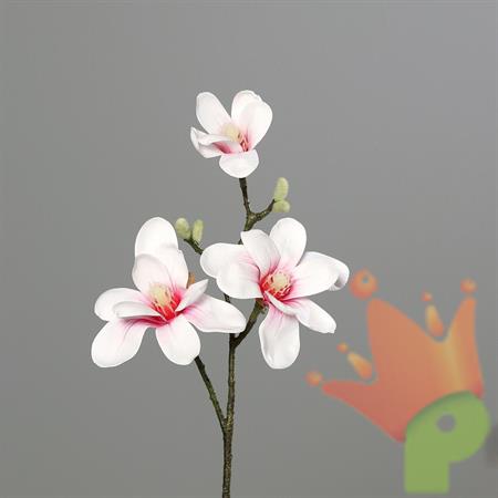 MAGNOLIA 40CM BIANCA/ROSA