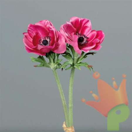 ANEMONE 28CM ROSA