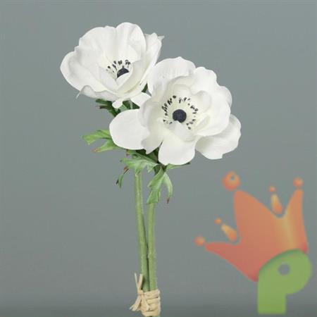 ANEMONE 28CM CREMA
