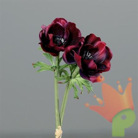 ANEMONE 28CM BORDEAUX