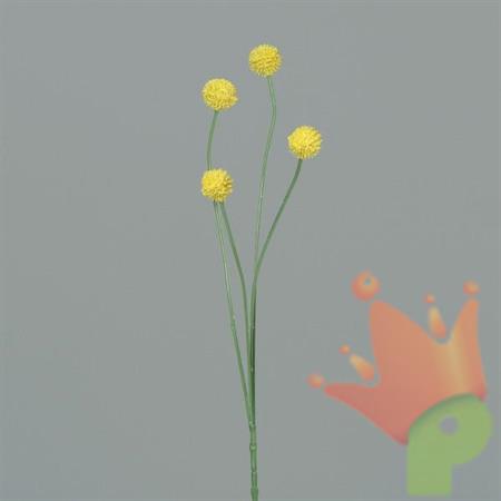 ECHINOPS 46CM GIALLO