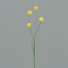 ECHINOPS 46CM GIALLO