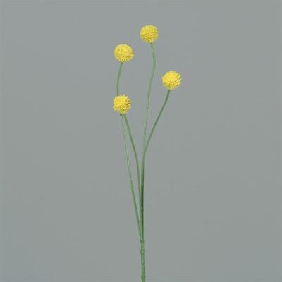 ECHINOPS 46CM GIALLO