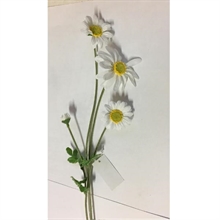 MARGHERITA 58CM CREMA