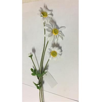 MARGHERITA 58CM CREMA