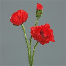 PAPAVERO 48CM