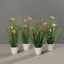 PIANTINA IN VASO 36CM