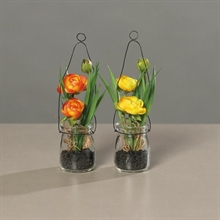 RANUNCOLO IN VASO DI VETRO 18CM