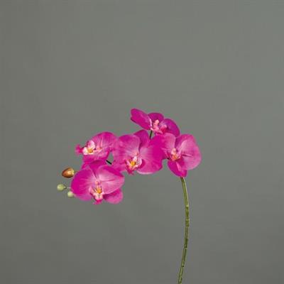 ORCHIDEA 52CM ROSA