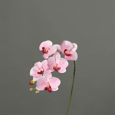 ORCHIDEA 52CM ROSA