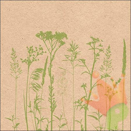 TOVAGLIOLI 33X33 HERBS AND FLOWERS GREEN 20PZ