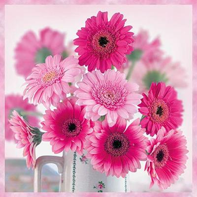 TOVAGLIOLI 33X33 PINK GERBERAS 20PZ