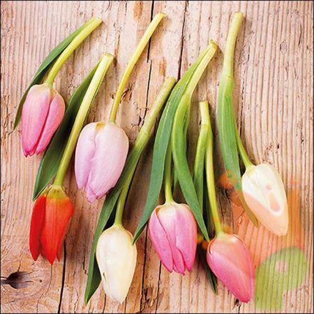 TOVAGLIOLI 33X33 TULIPS ON WOOD 20PZ