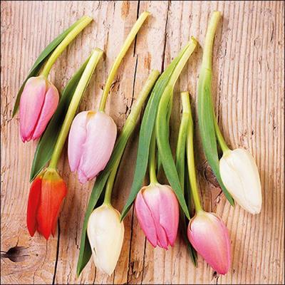 TOVAGLIOLI 33X33 TULIPS ON WOOD 20PZ