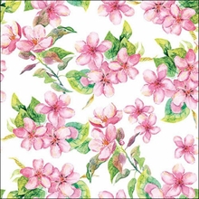 TOVAGLIOLI 33X33 CHERRY BLOSSOM ROSE 20PZ