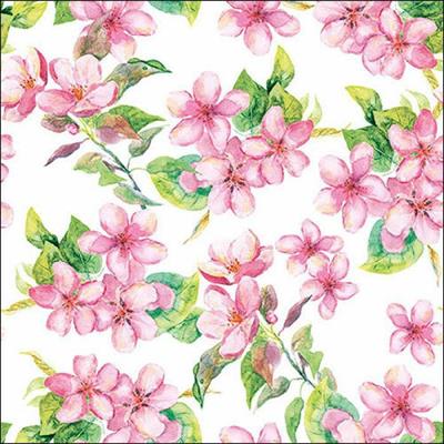 TOVAGLIOLI 33X33 CHERRY BLOSSOM ROSE 20PZ