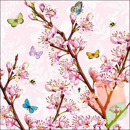 TOVAGLIOLI 33X33 BLOSSOM ROSE 20PZ