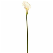 RAMO CALLA CREMA 58CM
